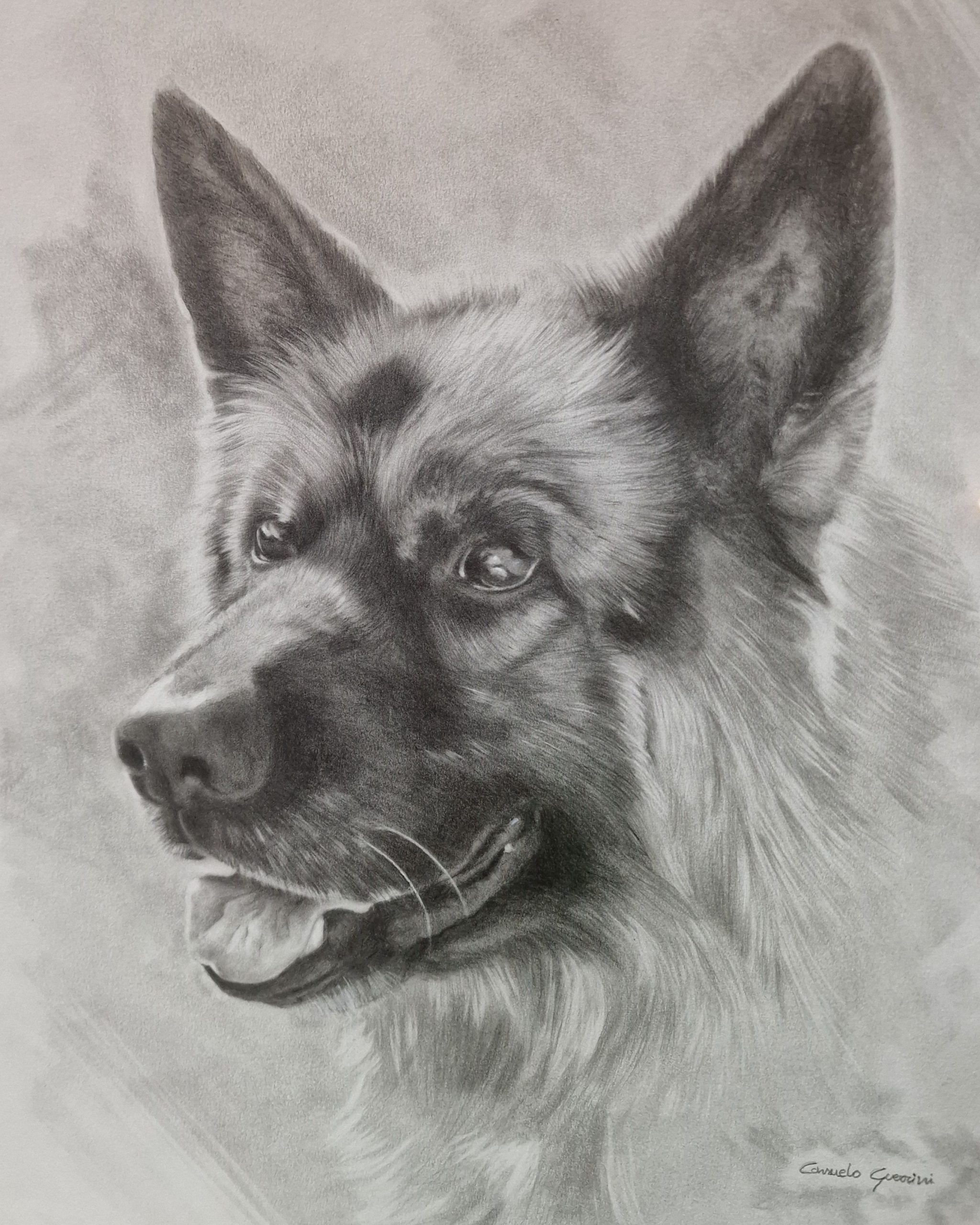 cane disegnato a matita